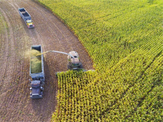 460+ Free Book Summaries and Study Guides