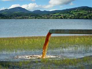 Considerations When Choosing a Virtual Info Room