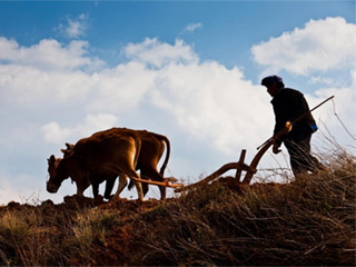 What Features Should Document Management Platforms Have?