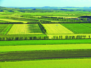 Rent A Reliable Essay Writer At $9 9